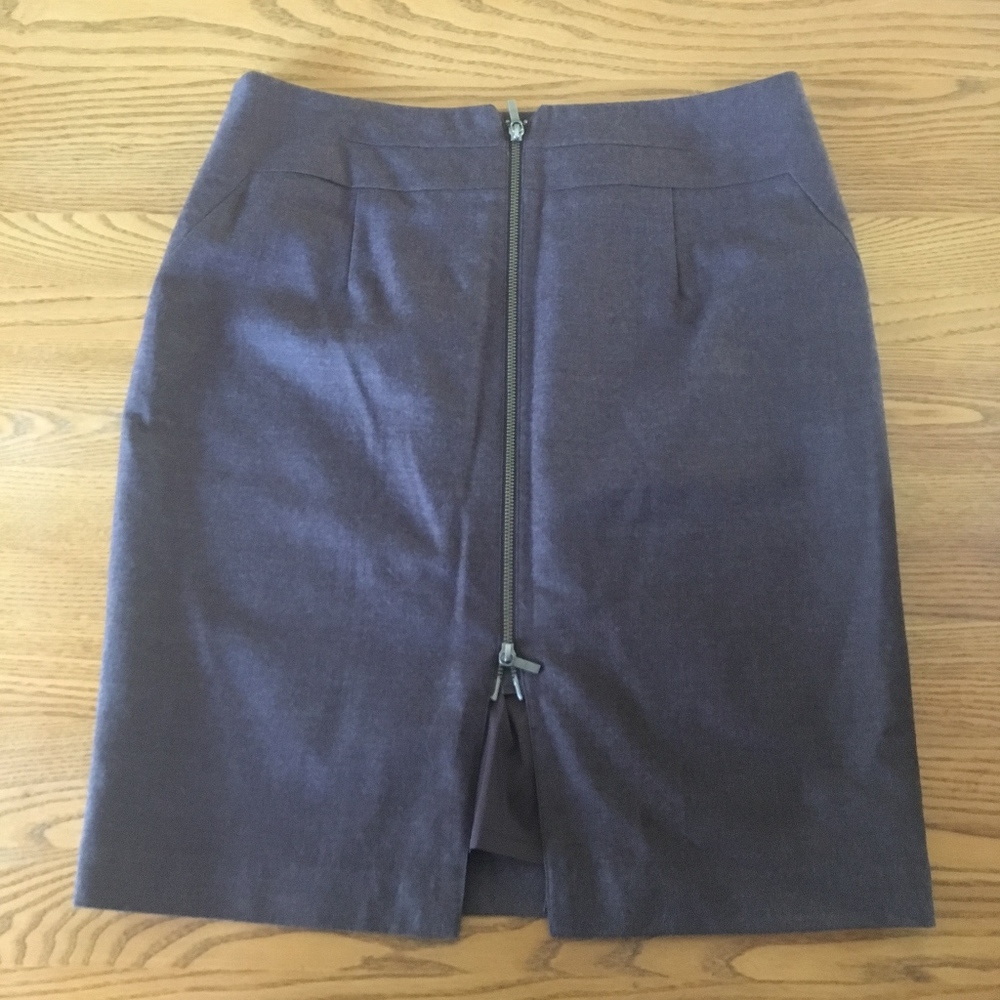 Banana Republic Brown Pencil Skirt & Gold Back Zip